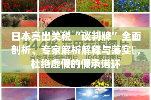 日本亮出關(guān)稅“談判牌”全面剖析、專(zhuān)家解析解釋與落實(shí)?,杜絕虛假的假承諾環(huán)