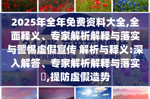 2025年全年免費資料大全,全面釋義、專家解析解釋與落實與警惕虛假宣傳 解析與釋義:深入解答、專家解析解釋與落實?,提防虛假造勢