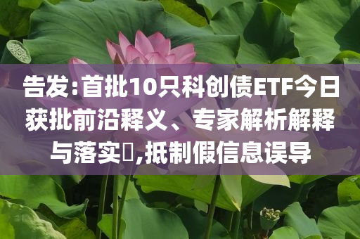 告發(fā):首批10只科創(chuàng)債ETF今日獲批前沿釋義、專家解析解釋與落實?,抵制假信息誤導