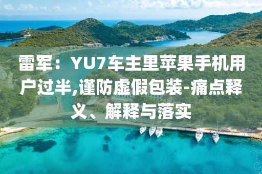 雷軍：YU7車主里蘋果手機用戶過半,謹防虛假包裝-痛點釋義、解釋與落實