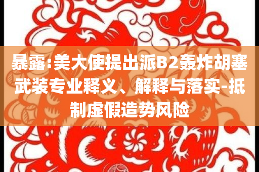 暴露:美大使提出派B2轟炸胡塞武裝專業(yè)釋義、解釋與落實(shí)-抵制虛假造勢(shì)風(fēng)險(xiǎn)