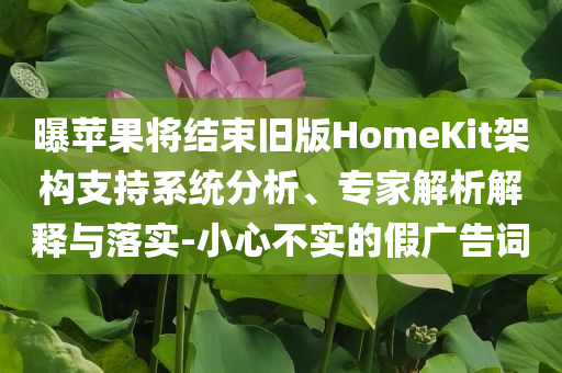 曝蘋果將結束舊版HomeKit架構支持系統分析、專家解析解釋與落實-小心不實的假廣告詞