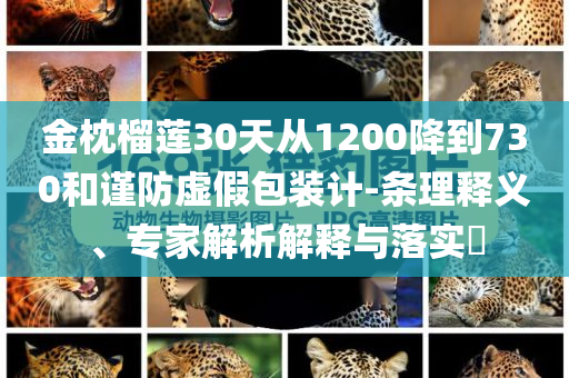 金枕榴蓮30天從1200降到730和謹防虛假包裝計-條理釋義、專家解析解釋與落實?