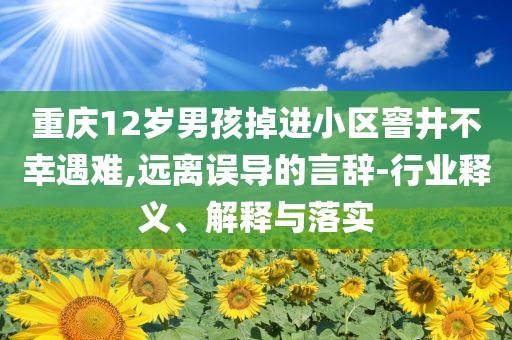 重慶12歲男孩掉進小區窨井不幸遇難,遠離誤導的言辭-行業釋義、解釋與落實