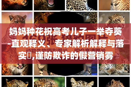 媽媽種花祝高考兒子一舉奪葵-直觀釋義、專家解析解釋與落實?,謹防欺詐的假營銷霧