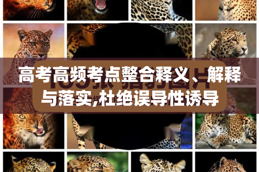 高考高頻考點整合釋義、解釋與落實,杜絕誤導(dǎo)性誘導(dǎo)