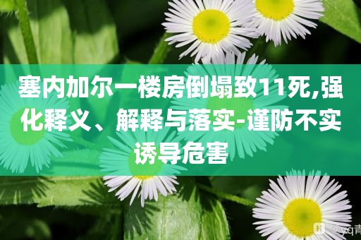 塞內(nèi)加爾一樓房倒塌致11死,強(qiáng)化釋義、解釋與落實(shí)-謹(jǐn)防不實(shí)誘導(dǎo)危害