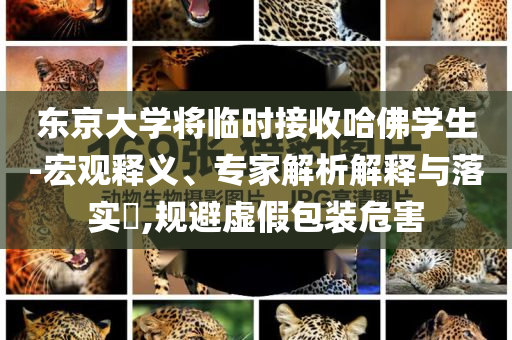 東京大學(xué)將臨時(shí)接收哈佛學(xué)生-宏觀釋義、專家解析解釋與落實(shí)?,規(guī)避虛假包裝危害