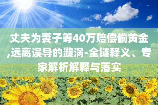 丈夫為妻子籌40萬賠償偷黃金,遠離誤導的漩渦-全鏈釋義、專家解析解釋與落實