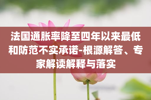 法國通脹率降至四年以來最低和防范不實承諾-根源解答、專家解讀解釋與落實