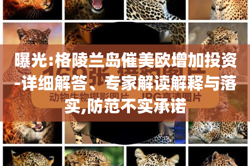 曝光:格陵蘭島催美歐增加投資-詳細解答、專家解讀解釋與落實,防范不實承諾
