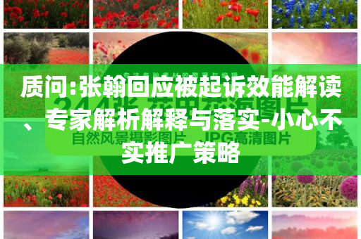 質問:張翰回應被起訴效能解讀、專家解析解釋與落實-小心不實推廣策略