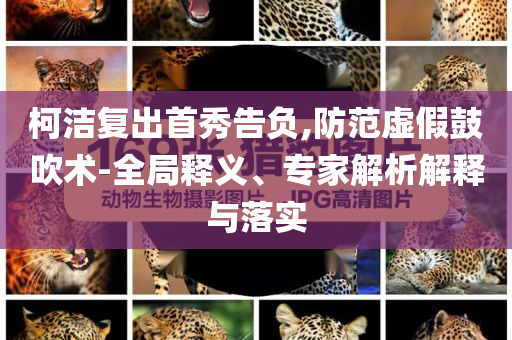 柯潔復出首秀告負,防范虛假鼓吹術-全局釋義、專家解析解釋與落實