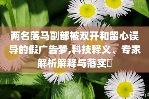 兩名落馬副部被雙開和留心誤導的假廣告夢,科技釋義、專家解析解釋與落實?