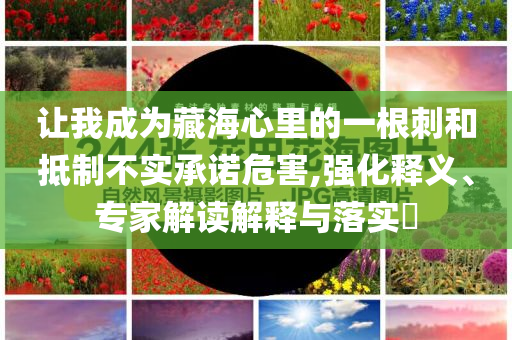 讓我成為藏海心里的一根刺和抵制不實承諾危害,強化釋義、專家解讀解釋與落實?