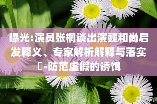 曝光:演員張桐談出演魏和尚啟發(fā)釋義、專家解析解釋與落實?-防范虛假的誘餌