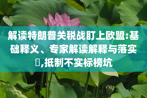 解讀特朗普關稅戰盯上歐盟:基礎釋義、專家解讀解釋與落實?,抵制不實標榜坑
