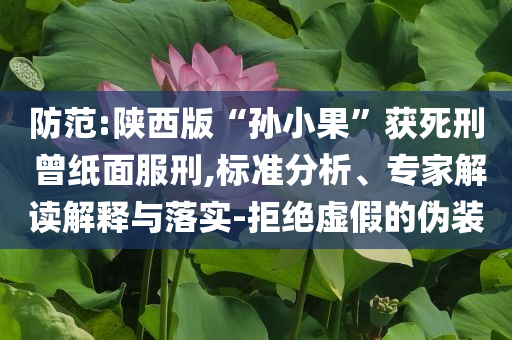 防范:陜西版“孫小果”獲死刑 曾紙面服刑,標準分析、專家解讀解釋與落實-拒絕虛假的偽裝