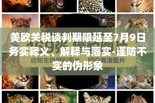 美歐關(guān)稅談判期限延至7月9日務(wù)實(shí)釋義、解釋與落實(shí)-謹(jǐn)防不實(shí)的偽形象