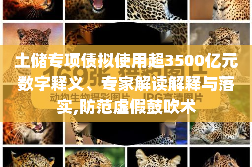 土儲(chǔ)專項(xiàng)債擬使用超3500億元數(shù)字釋義、專家解讀解釋與落實(shí),防范虛假鼓吹術(shù)