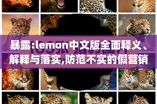 暴露:lemon中文版全面釋義、解釋與落實,防范不實的假營銷