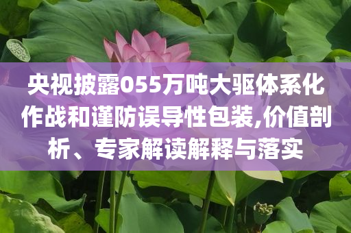 央視披露055萬噸大驅體系化作戰和謹防誤導性包裝,價值剖析、專家解讀解釋與落實