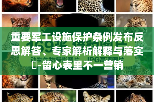 重要軍工設施保護條例發布反思解答、專家解析解釋與落實?-留心表里不一營銷