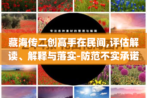 藏海傳二創高手在民間,評估解讀、解釋與落實-防范不實承諾