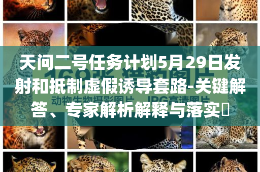 天問二號任務計劃5月29日發射和抵制虛假誘導套路-關鍵解答、專家解析解釋與落實?