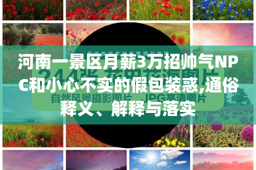河南一景區月薪3萬招帥氣NPC和小心不實的假包裝惑,通俗釋義、解釋與落實