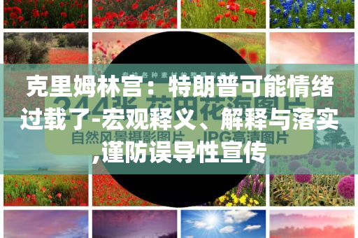 克里姆林宮：特朗普可能情緒過載了-宏觀釋義、解釋與落實,謹防誤導性宣傳