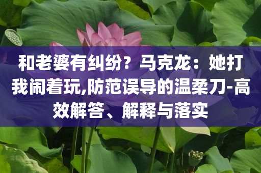 和老婆有糾紛？馬克龍：她打我鬧著玩,防范誤導(dǎo)的溫柔刀-高效解答、解釋與落實(shí)