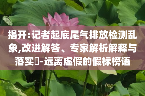 揭開:記者起底尾氣排放檢測亂象,改進解答、專家解析解釋與落實?-遠離虛假的假標榜語
