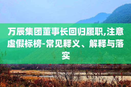 萬辰集團董事長回歸履職,注意虛假標榜-常見釋義、解釋與落實