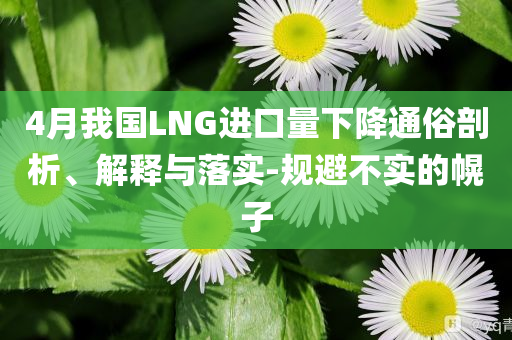 4月我國LNG進口量下降通俗剖析、解釋與落實-規避不實的幌子