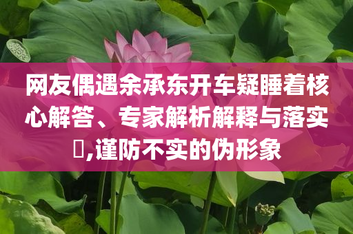 網友偶遇余承東開車疑睡著核心解答、專家解析解釋與落實?,謹防不實的偽形象