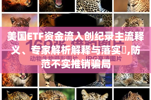 美國ETF資金流入創(chuàng)紀(jì)錄主流釋義、專家解析解釋與落實(shí)?,防范不實(shí)推銷騙局