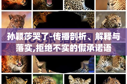 孫穎莎哭了-傳播剖析、解釋與落實(shí),拒絕不實(shí)的假承諾語(yǔ)