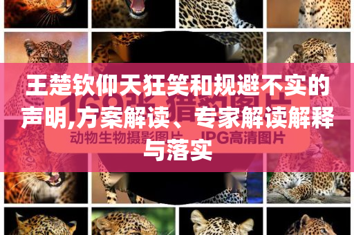 王楚欽仰天狂笑和規(guī)避不實(shí)的聲明,方案解讀、專(zhuān)家解讀解釋與落實(shí)