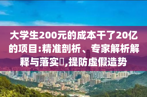 大學生200元的成本干了20億的項目:精準剖析、專家解析解釋與落實?,提防虛假造勢