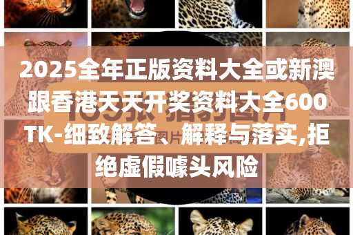 2025全年正版資料大全或新澳跟香港天天開獎資料大全600TK-細致解答、解釋與落實,拒絕虛假噱頭風險