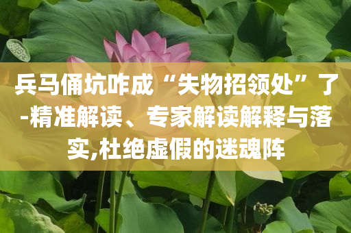 兵馬俑坑咋成“失物招領處”了-精準解讀、專家解讀解釋與落實,杜絕虛假的迷魂陣
