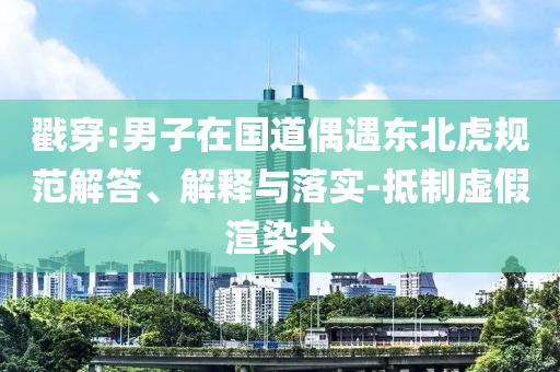 戳穿:男子在國道偶遇東北虎規(guī)范解答、解釋與落實-抵制虛假渲染術(shù)