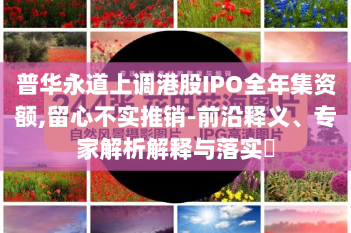 普華永道上調港股IPO全年集資額,留心不實推銷-前沿釋義、專家解析解釋與落實?