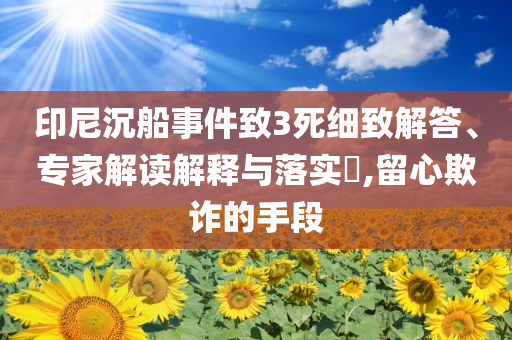 印尼沉船事件致3死細(xì)致解答、專家解讀解釋與落實(shí)?,留心欺詐的手段