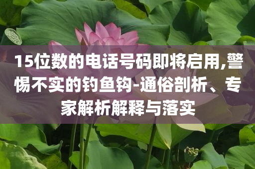 15位數(shù)的電話號(hào)碼即將啟用,警惕不實(shí)的釣魚鉤-通俗剖析、專家解析解釋與落實(shí)