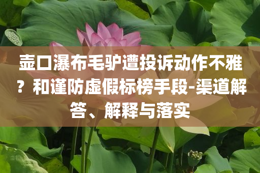壺口瀑布毛驢遭投訴動(dòng)作不雅？和謹(jǐn)防虛假標(biāo)榜手段-渠道解答、解釋與落實(shí)