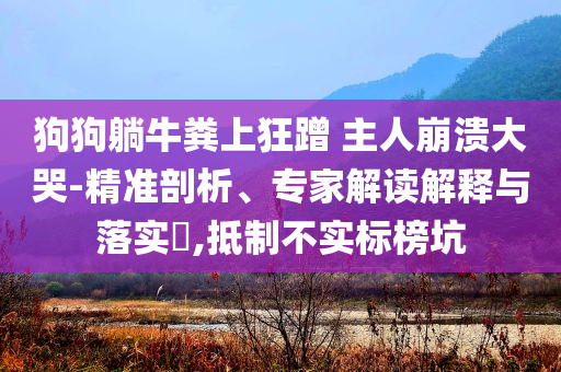 狗狗躺牛糞上狂蹭 主人崩潰大哭-精準剖析、專家解讀解釋與落實?,抵制不實標榜坑