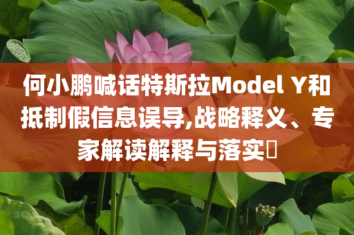 何小鵬喊話特斯拉Model Y和抵制假信息誤導,戰略釋義、專家解讀解釋與落實?