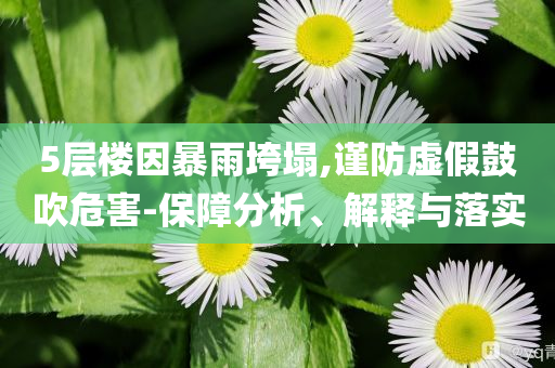 5層樓因暴雨垮塌,謹防虛假鼓吹危害-保障分析、解釋與落實